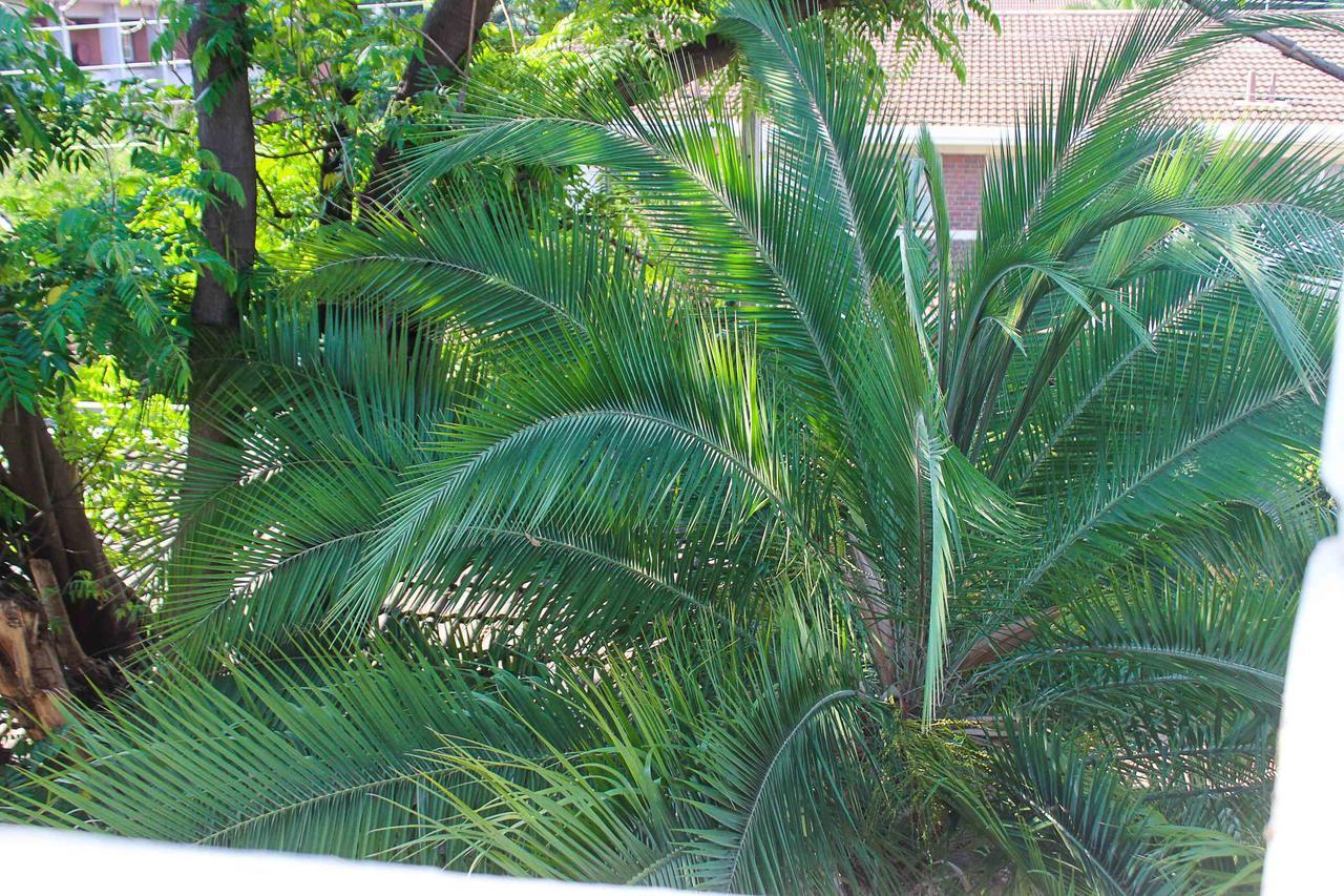 Lolo'S 1Bed Apt-Best Location-2Balconies Harare Extérieur photo